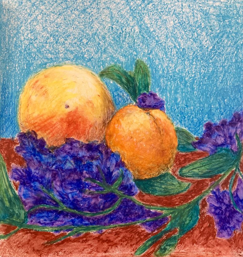 Still Life Drawing of Fruit and Flowers